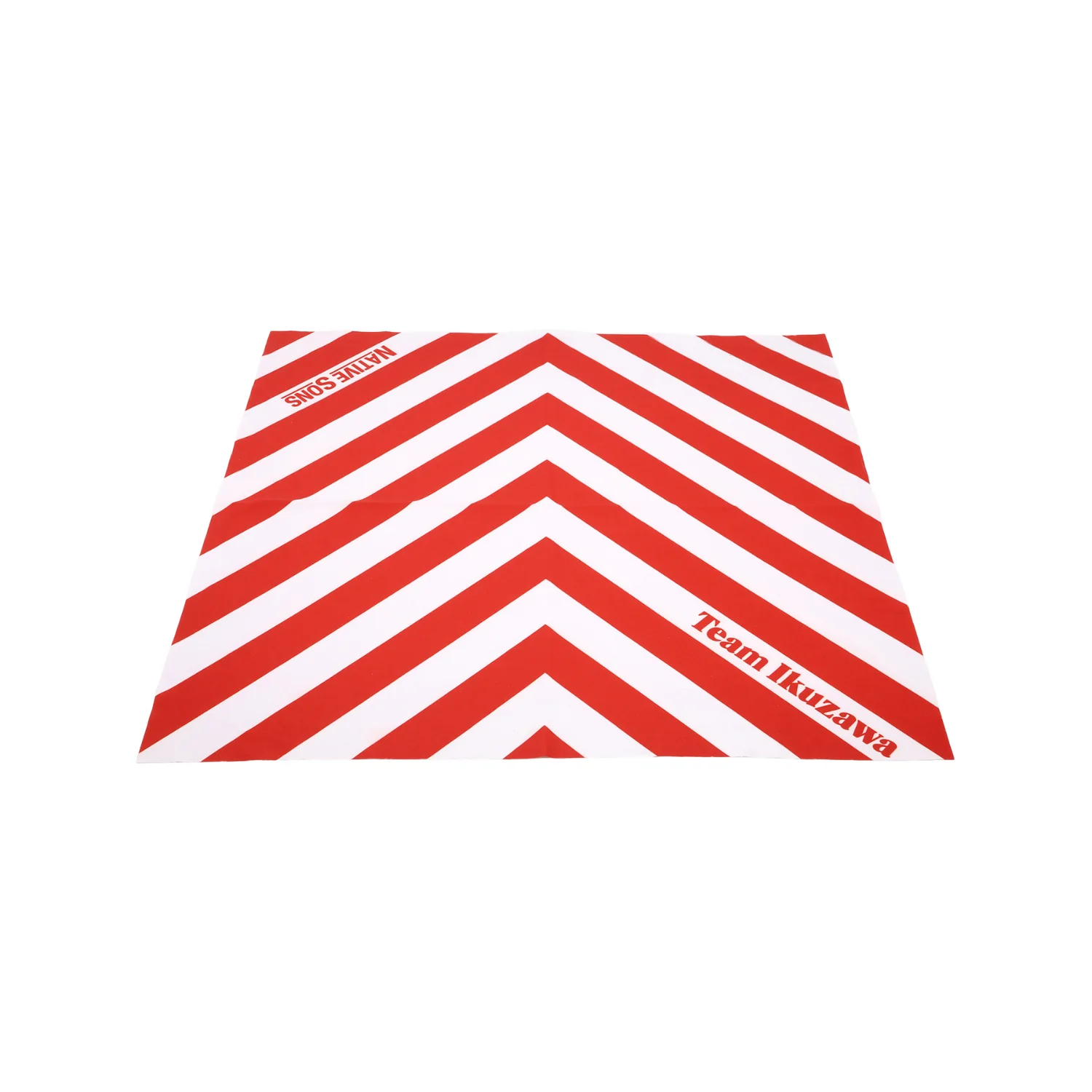 Native Sons x Team Ikuzawa Sunglasses - White - Image 7